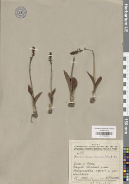 LE 01032579