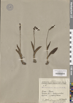 LE 01032580
