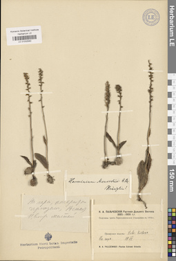 LE 01032582