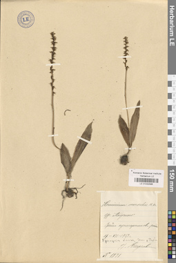 LE 01032586