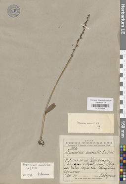 LE 01032588