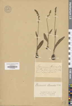 LE 01032589