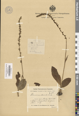LE 01032590