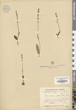 LE 01032595