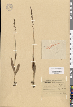 LE 01032597