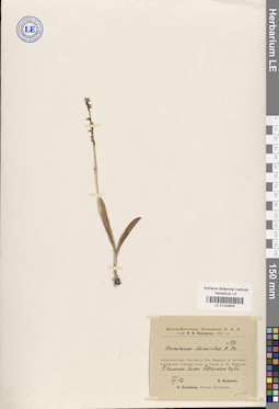 LE 01032605