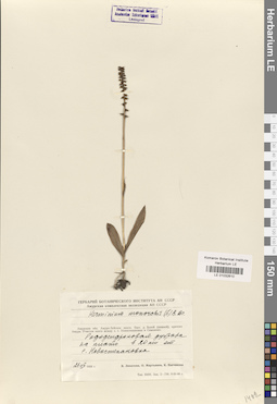 LE 01032610