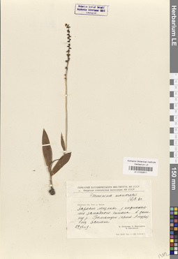 LE 01032611