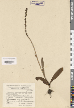 LE 01032615