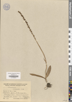 LE 01032616