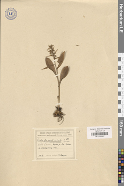LE 01032627