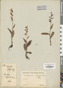 LE 01032630