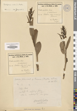 LE 01032642