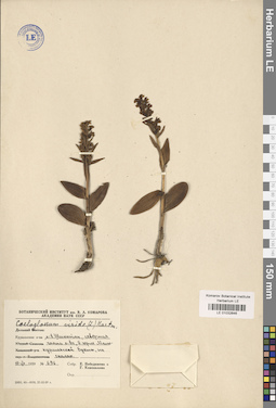 LE 01032646