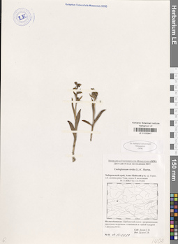 LE 01032647