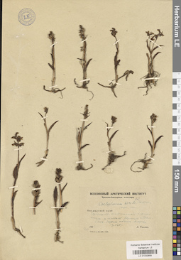 LE 01032658