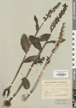 LE 01032670