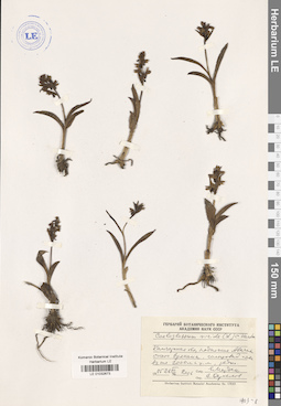 LE 01032673