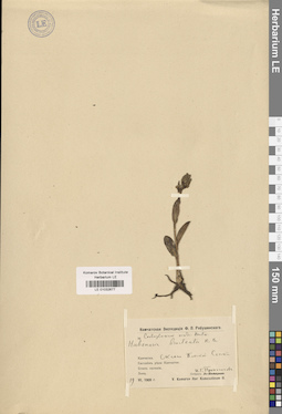 LE 01032677