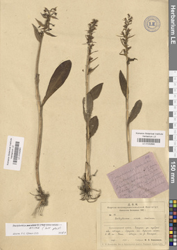 LE 01032680