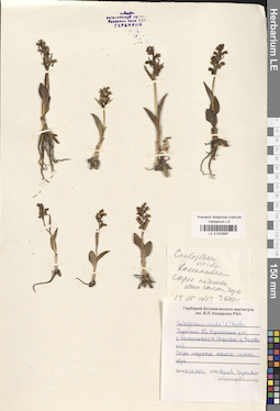 LE 01032687