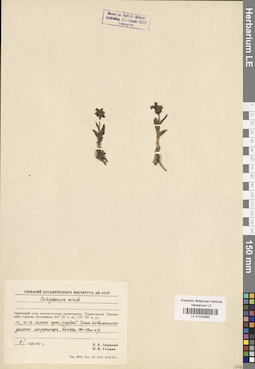 LE 01032693