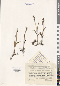 LE 01032707