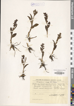 LE 01032708