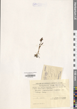 LE 01032709