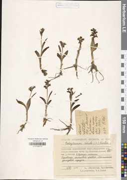 LE 01032710