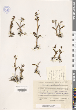 LE 01032711