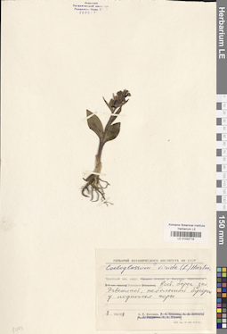 LE 01032719