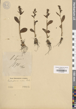 LE 01032724