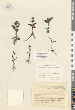 LE 01032728