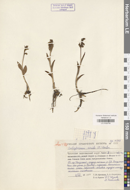 LE 01032730