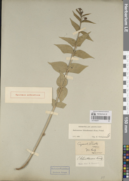 LE 01262471