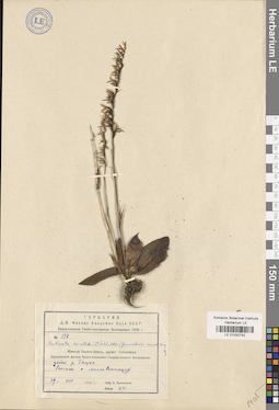 LE 01032742