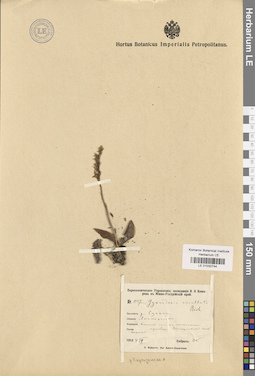 LE 01032744