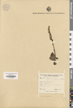 LE 01032745