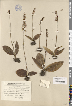 LE 01032746