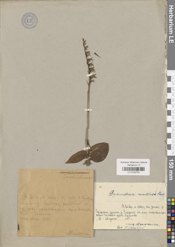 LE 01032750