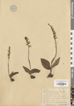 LE 01032751