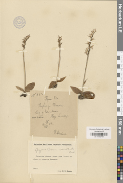 LE 01032756