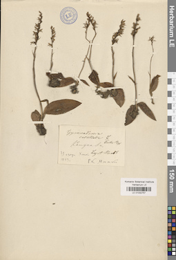 LE 01032757