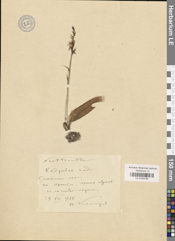 LE 01032760