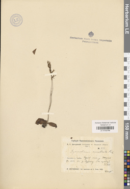 LE 01032768