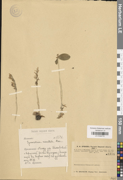 LE 01032770