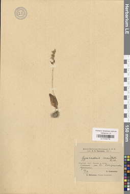 LE 01032779