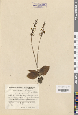 LE 01032782
