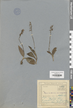 LE 01032783